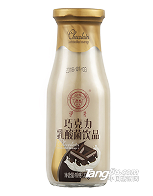 智力多廠家直銷(xiāo)巧克力乳酸菌飲料300g