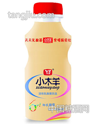 乳酸菌-金娃食品