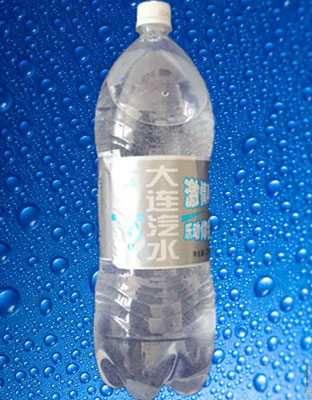 大連汽水（無糖）2L