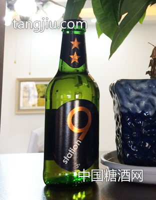 荷蘭原裝原瓶進(jìn)口獅得森啤酒7