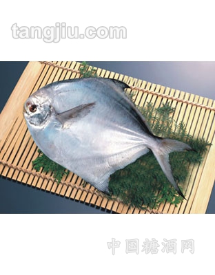 鯧魚