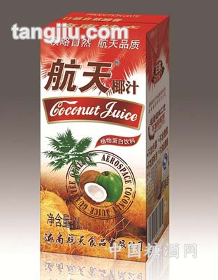 航天椰汁1L