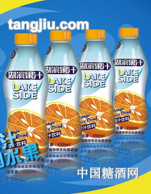 湖濱橙汁飲料450ml