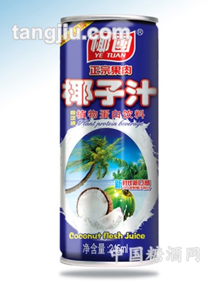 椰子汁植物蛋白飲料245ml