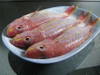 批發(fā)冷凍鮮金線魚(yú) 雪魚(yú)片 凍兔子