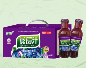 供應(yīng)批發(fā)園汁園味藍(lán)莓汁飲料 揚(yáng)百利楊梅汁