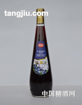 團友藍(lán)莓汁828ml