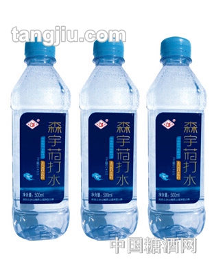 ɭKˮ500ml