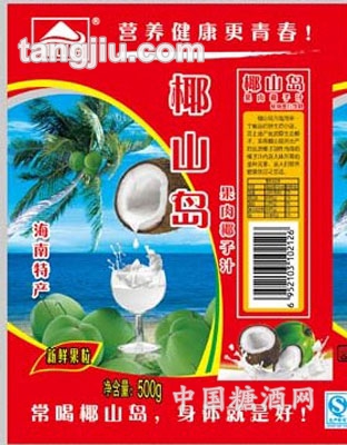 椰山島椰子汁500g