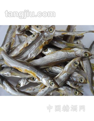 刁子魚(yú)