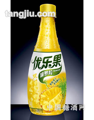 菠蘿粒418ml