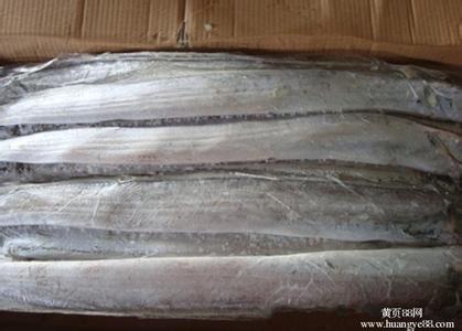 大量供應(yīng)印度帶魚(yú)秋刀魚(yú)魷魚(yú)