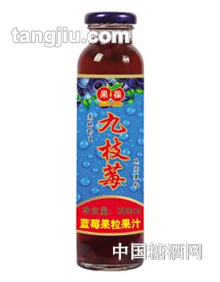 果葆藍莓飲料-九枝莓300ml