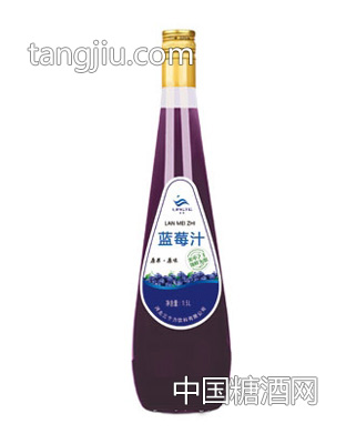 凌特藍莓汁828ml