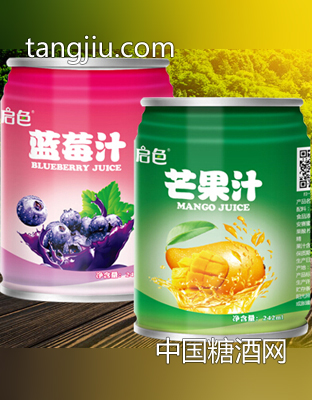 啟色果汁飲料242ml