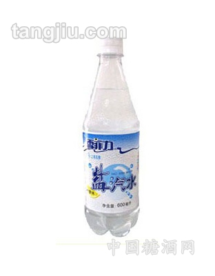 鹽汽水水主劑600ml