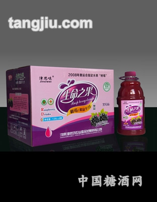 津思味黑莓果汁PET裝1.25L