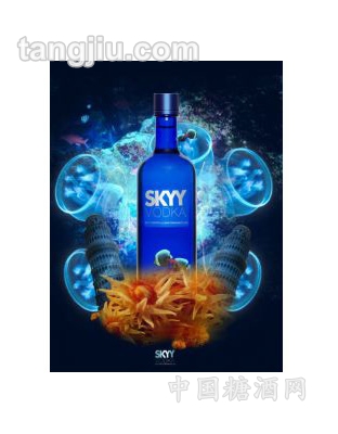 SKYY-VODKAؼ