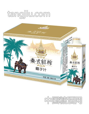 天芝健600ml12瓶椰子汁常規(guī)裝