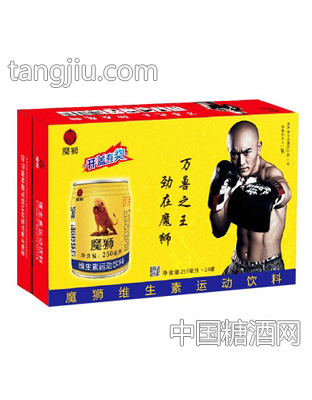 魔師維生素運(yùn)動飲料250mlX24