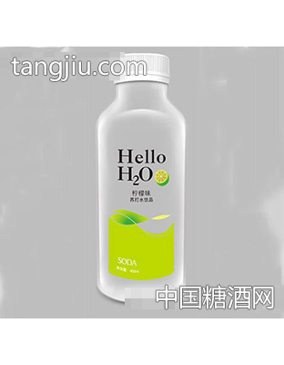 奇亞籽你好！水檸檬味蘇打水飲品