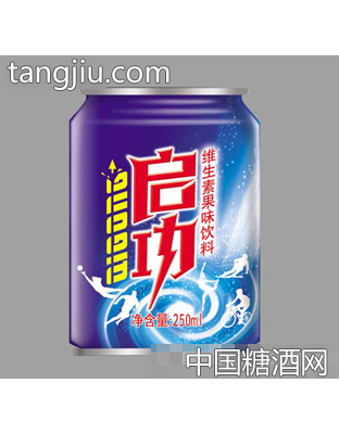 啟功維生素飲料250ml