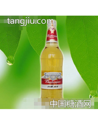 百威純生580ml（1）