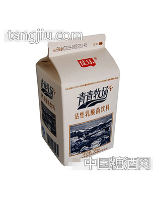 佳樂(lè)青青牧場(chǎng)活性乳酸菌飲料500ml