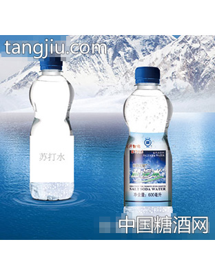 天一鹽汽水600ml