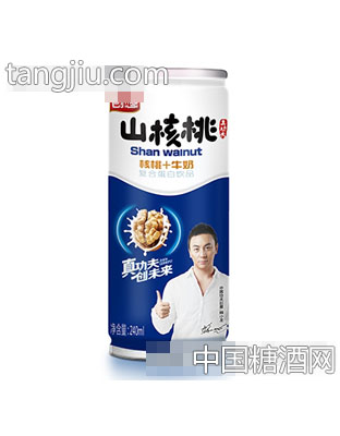 創(chuàng)想山核桃核桃+牛奶復(fù)合蛋白飲品240ml