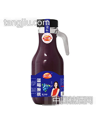 今六源藍莓原漿果汁1.5L