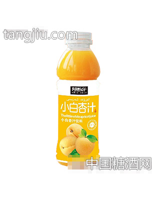 阿娜爾汗小白杏汁飲料500ml