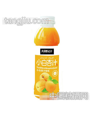 阿娜爾汗小白杏汁500ml