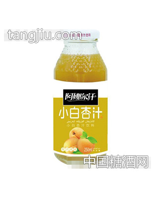 阿娜爾汗小白杏汁250ml