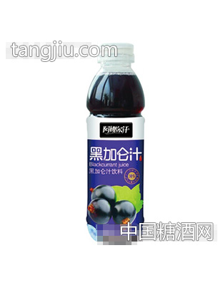 阿娜爾汗黑加侖汁500ml