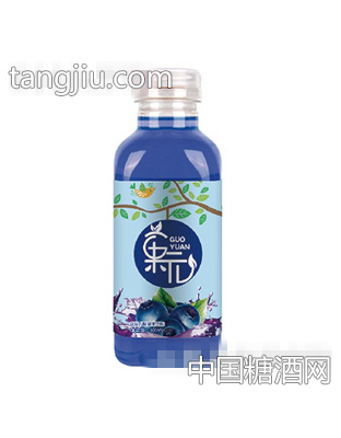 菓元藍(lán)莓乳酸菌味飲料瓶500ml