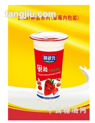 晟多元果粒乳酸菌飲品1