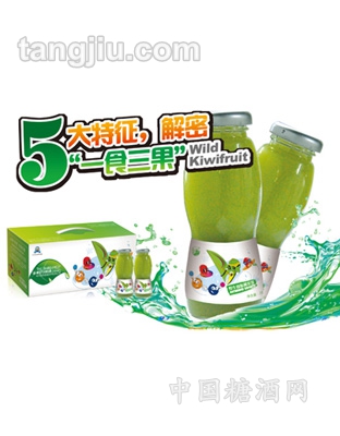 五國城獼猴桃果漿飲料210ml