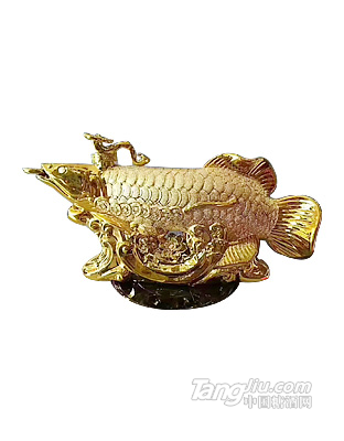 金魚