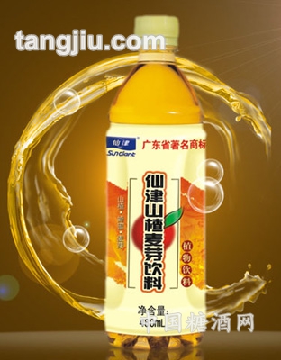 山楂麥芽飲料480ml