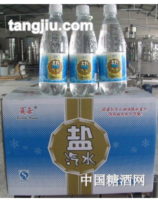 夏朵鹽汽水500ml