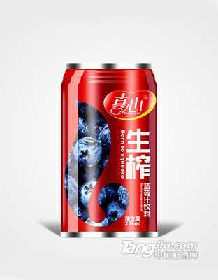 生榨藍莓汁(256ml)