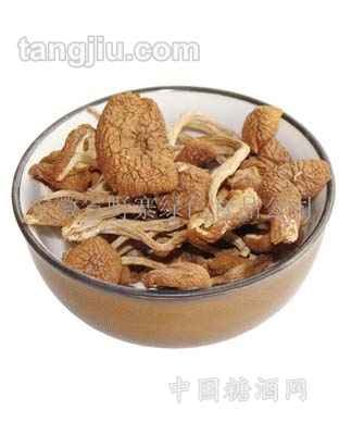 干茶樹菇 食用菌種 有機(jī)食品