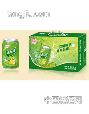 真愛你310ml