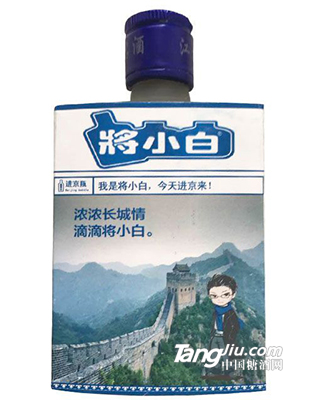 42°將小白酒（長城情）100ml