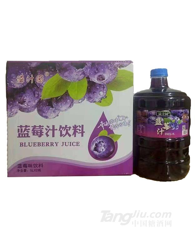 溢汁園藍莓汁飲料5L×2瓶