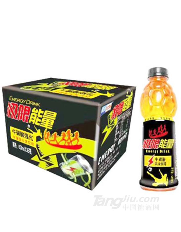 極限能量?；撬犸L(fēng)味飲料600mlX15