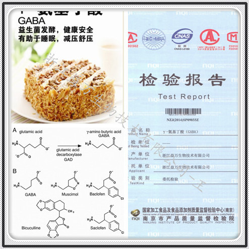 伽馬氨基丁酸