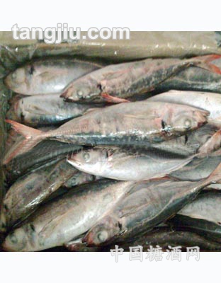 冰凍小魚(yú)