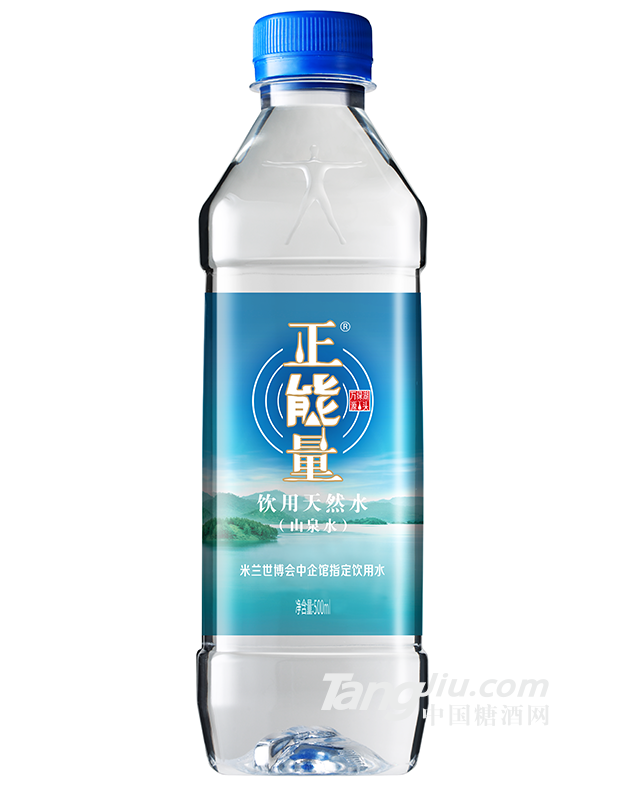 正能量-500ml支裝水